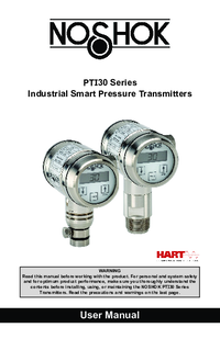 Thumbnail of document Manual - PTI30 High Accuracy Intelligent Pressure Transmitter